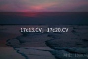 17c13.CV，17c20.CV