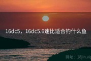 16dc5，16dc5.6速比适合钓什么鱼