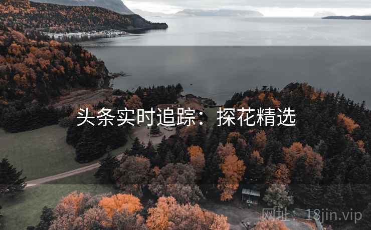 头条实时追踪：探花精选