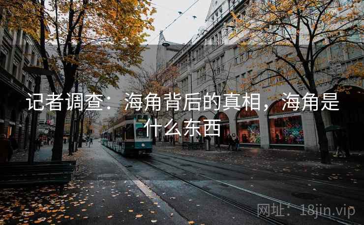 记者调查：海角背后的真相，海角是什么东西