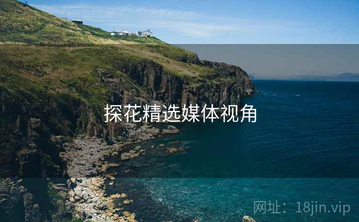 探花精选媒体视角 探花精选媒体视角
