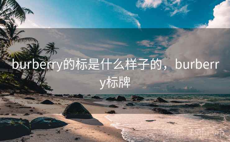 burberry的标是什么样子的,burberry标牌 burberry的标是什么样子的,burberry标牌