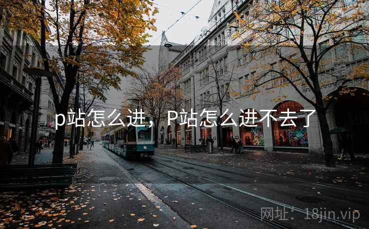 p站怎么进，P站怎么进不去了
