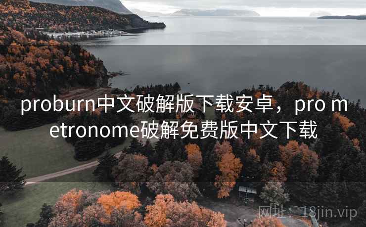 proburn中文破解版下载安卓，pro metronome破解免费版中文下载