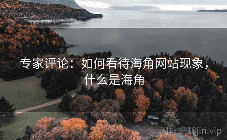 专家评论:如何看待海角网站现象,什么是海角 专家评论:如何看待海角网站现象,什么是海角