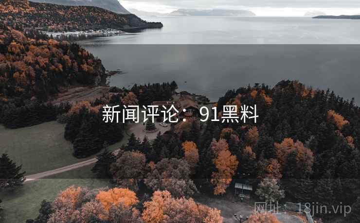 新闻评论:91黑料 新闻评论:91黑料