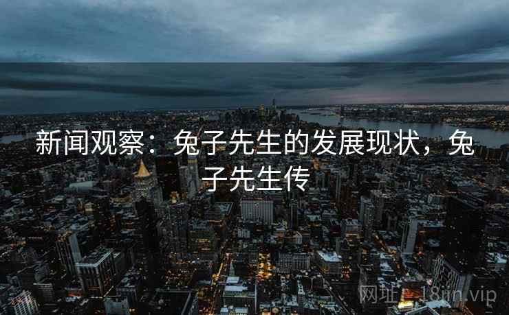 新闻观察：兔子先生的发展现状，兔子先生传