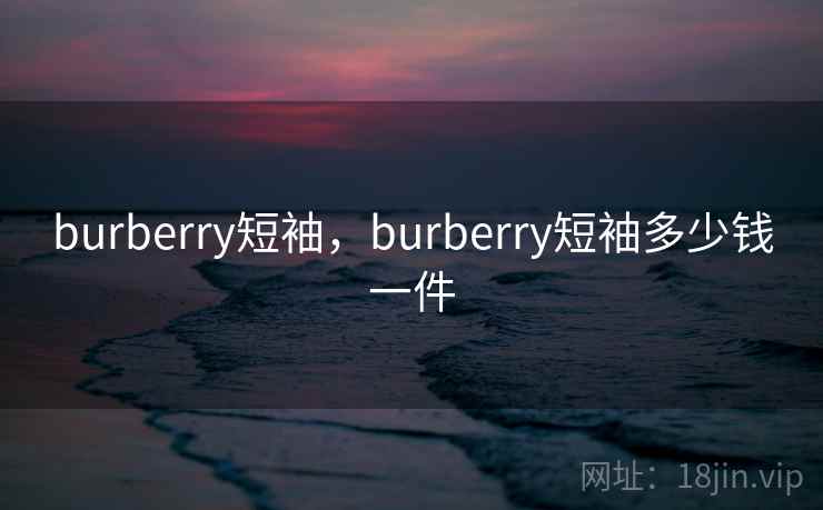 burberry短袖，burberry短袖多少钱一件