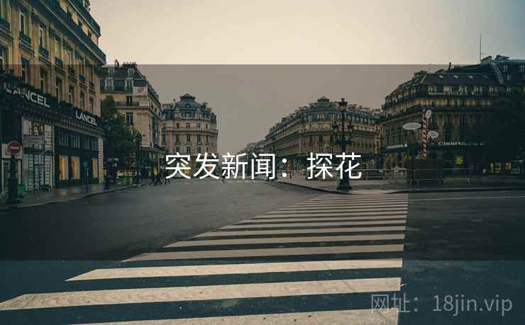 突发新闻:探花 突发新闻:探花