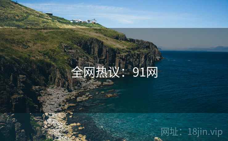 全网热议:91网 全网热议:91网