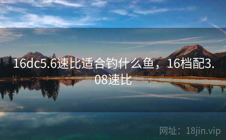 16dc5.6速比适合钓什么鱼,16档配3.08速比 16dc5.6速比适合钓什么鱼,16档配3.08速比
