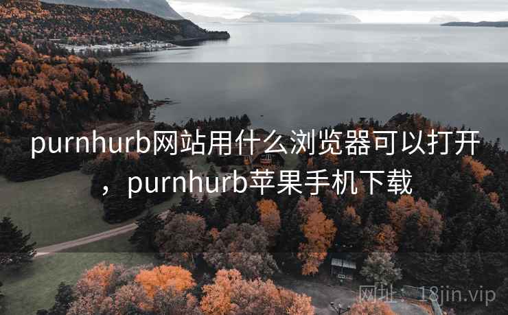 purnhurb网站用什么浏览器可以打开，purnhurb苹果手机下载