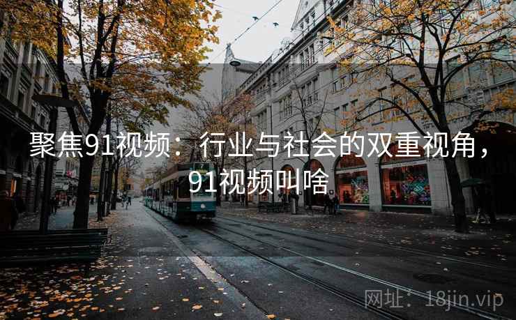 聚焦91视频：行业与社会的双重视角，91视频叫啥
