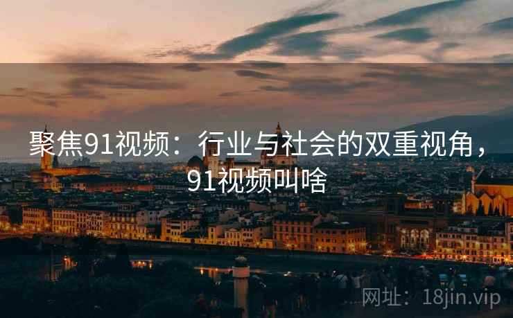 聚焦91视频：行业与社会的双重视角，91视频叫啥