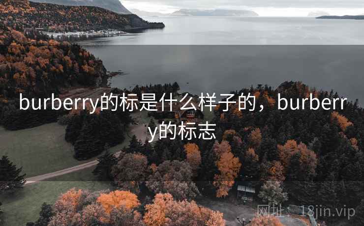 burberry的标是什么样子的,burberry的标志 burberry的标是什么样子的,burberry的标志