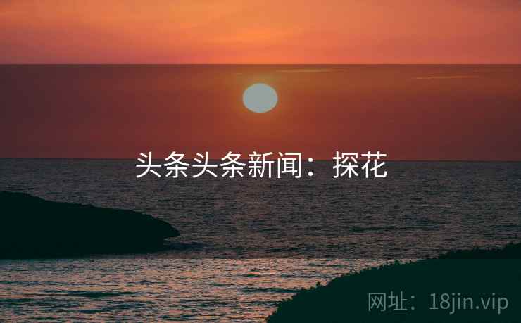 头条头条新闻：探花